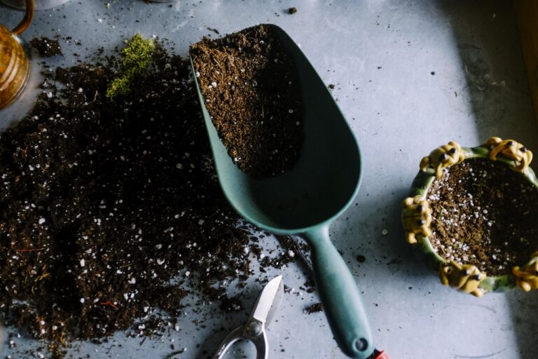 Herramienta de jardinería con tierra y semillas