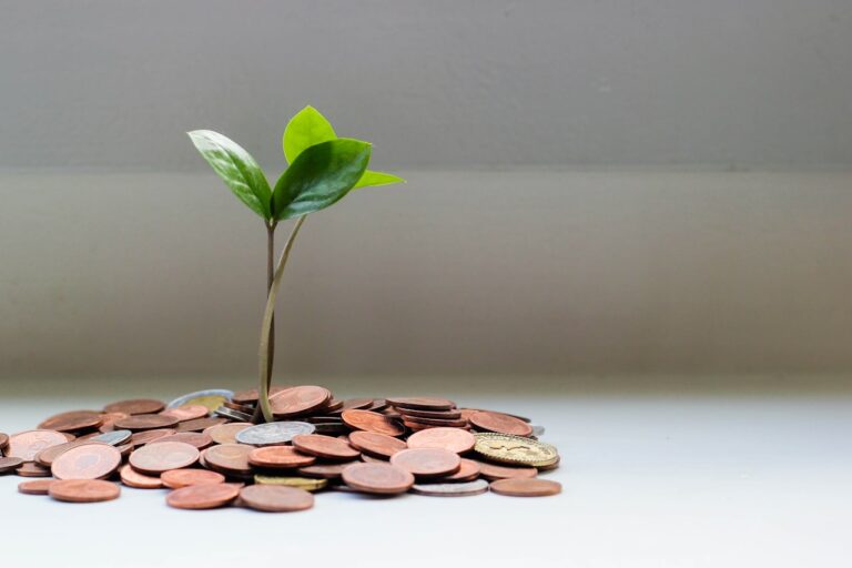 Planta creciendo sobre monedas, símbolo de financiación
